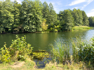 A calm lake with trees in the background