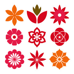 Collection of Floral Design Elements in Red and Orange