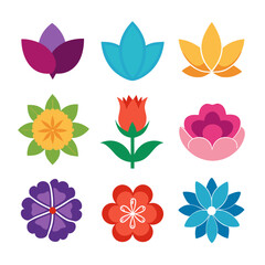 Colorful Flat Flower Set Vector Graphic Illustration