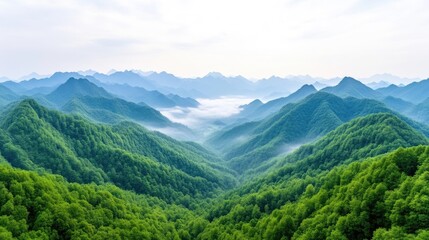 Lush mountain range shrouded in mist. Verdant valleys and peaks stretch into the distance
