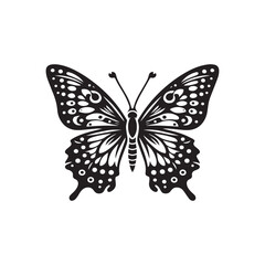 Obraz premium butterfly on white background