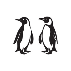 Obraz premium penguins isolated on white background
