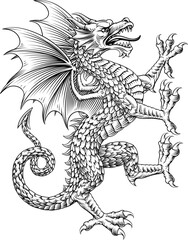 Obraz premium Dragon heraldry coat of arms or family crest medieval shield style heraldic animal. In a vintage woodcut style.
