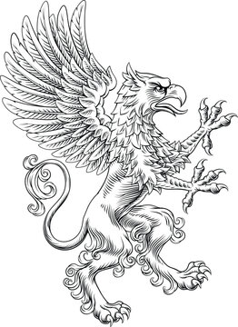 Griffin or gryphon heraldry coat of arms or family crest medieval shield style heraldic animal. In a vintage woodcut style.