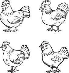 Chicken in doodle simple style on white background outline vector