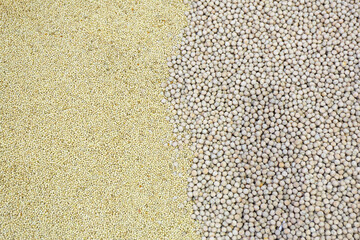 Soy Beans Quinoa Millet Seeds Grains Farm