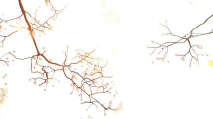 Abstract Glowing Neuron Structure Microscopic Nerve Cells Illuminated