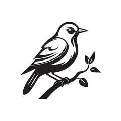 bird on a branch