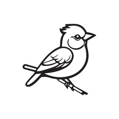 bird on a branch