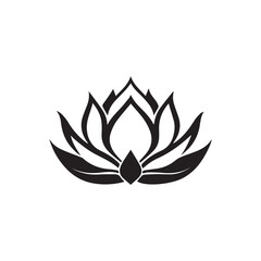 Lotus Flower Vector Illustration on White Background with Leaves and Petals
