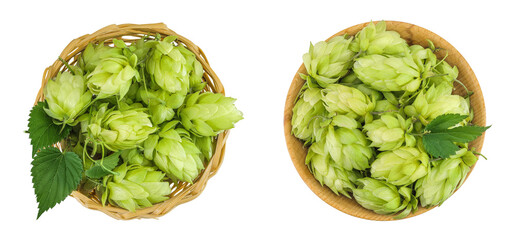 Fototapeta premium Hop cones in wicker basket isolated on white background. Beer brewing ingredients. Top view. Flat lay