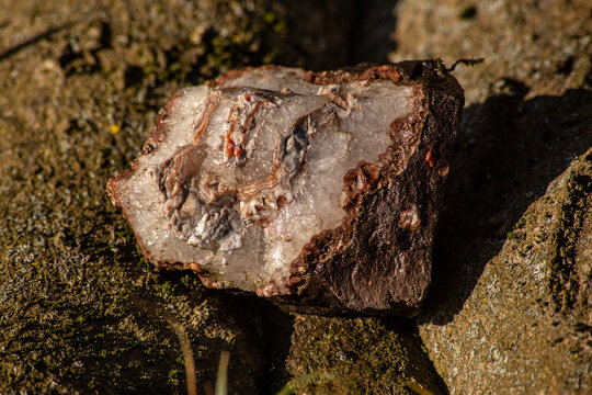 Stein mit Quarz in der Sonne vor Baumrinde