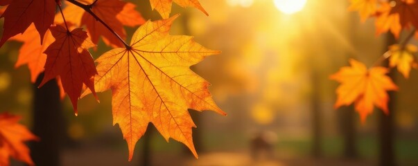 Fototapeta premium Autumn leaves, vibrant gold hues, sunlight dappled , sunlight, close-up, yellow