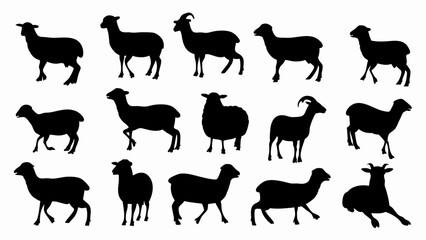 set of sheep silhouette vector on white background
