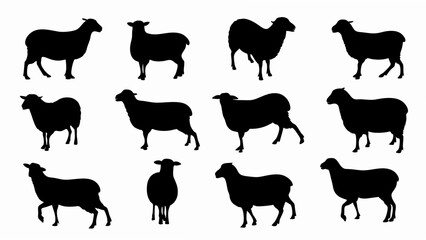 set of sheep silhouette vector on white background