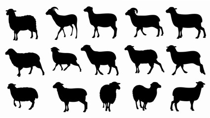 set of sheep silhouette vector on white background