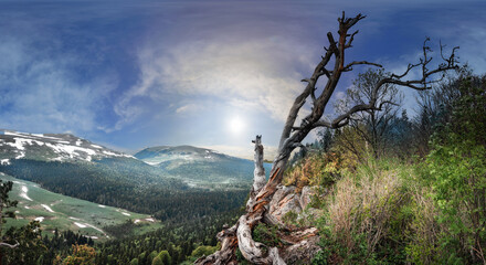 Panoramic view of the Lago Naki plateau. Forest on the mountain slopes. Lonely tree on the top of the mountain. Republic of Adygea.