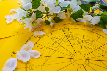 Printed yellow astrology chart with small, white, and fragile spring flowers and green leaves in the background