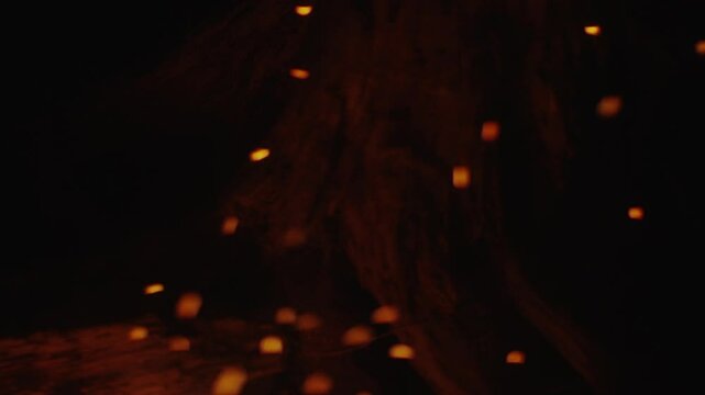 Material, Flame, Bonfire, Firewood, Spark, Orange, Slow Motion, HS