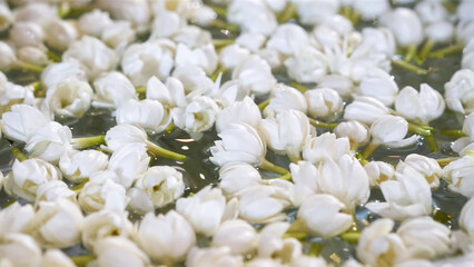 Jasmine flowers in bowl water for background. Songkran Day Watering Ceremony Religion