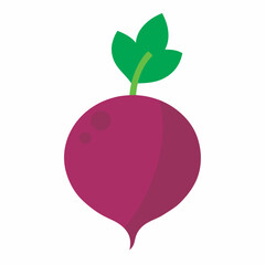 Vector of a Beetroot illustration