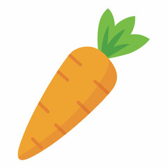 Vector of a Carrot illustration