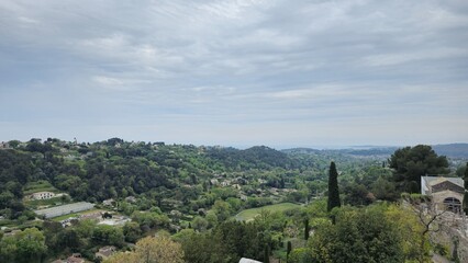 mountain landscape with trees