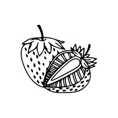whole and half strawberry illustration