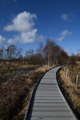 the walkway over the bog at cors caron in the sun 
