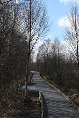 the walkway over the bog at cors caron in the sun 