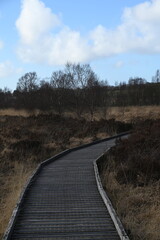 the walkway over the bog at cors caron in the sun 