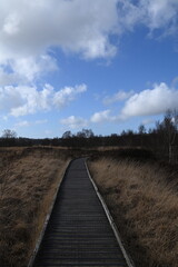 the walkway over the bog at cors caron in the sun 