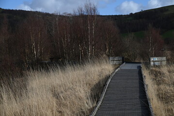 the walkway over the bog at cors caron in the sun 