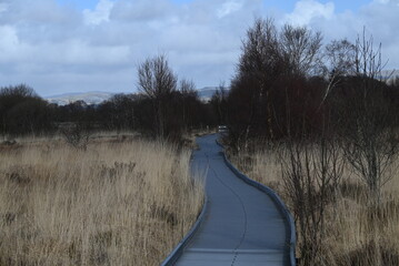 the walkway over the bog at cors caron in the sun 