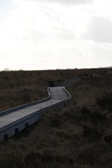 the walkway over the bog at cors caron in the sun 