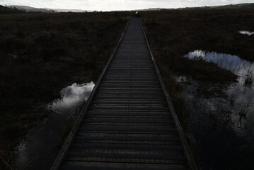the walkway over the bog at cors caron in the sun 