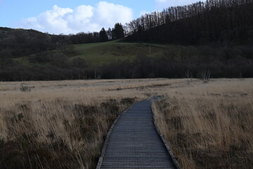 the walkway over the bog at cors caron in the sun 