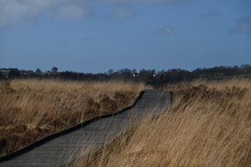 the walkway over the bog at cors caron in the sun 