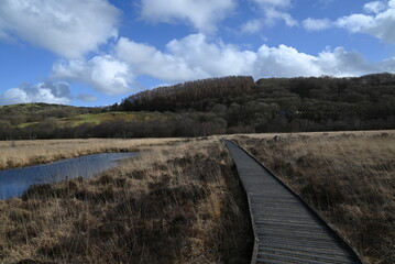 the walkway over the bog at cors caron in the sun 