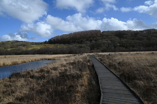 the walkway over the bog at cors caron in the sun 