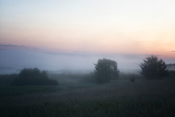 Beautiful summer landscape with the fog lit with a sunrise
