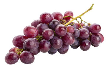 Fototapeta premium Assortment of Colorful Grapes Red Green and Black on a Stem.