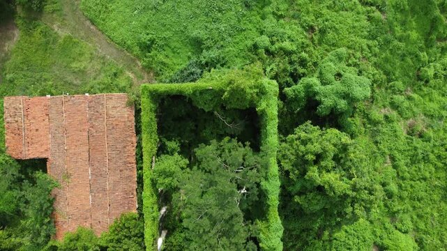 Ruinas da antiga usina de cana na Usina Santana 