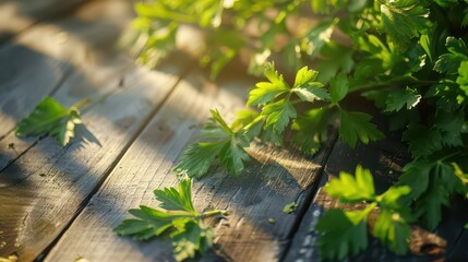 Fototapeta premium Fresh parsley leaves carefully arranged on a wooden surface with sunlight highlighting their vibrant color