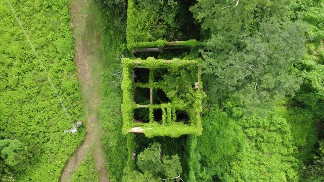 Ruinas da antiga usina de cana na Usina Santana 