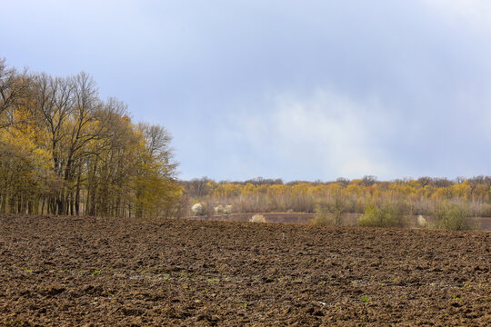 Peaceful rural landscape in Ukraine in early spring. Freshly plowed brown soil is visible in the foreground. Behind it stretches a field with scattered bushes and trees without leaves or with the firs