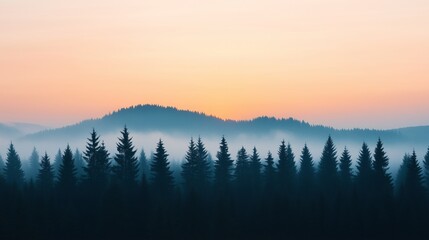 Obraz premium Serene Sunrise Over Misty Mountain Forest Landscape Coniferous Trees Peaceful Nature