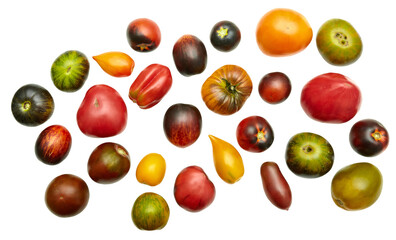 Colorful raw tomatoes: red, yellow, orange, green on a white background. Ripe, juicy, different colors and shapes. Close-up view from above