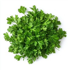 Obraz premium Fresh Green Parsley Leaves on White Background for Culinary Uses