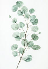 Obraz premium Abstract Leaf Element Watercolor Background